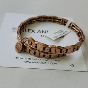 Alex and Ani Chain Link Freedom Gold Wrap Bracelet